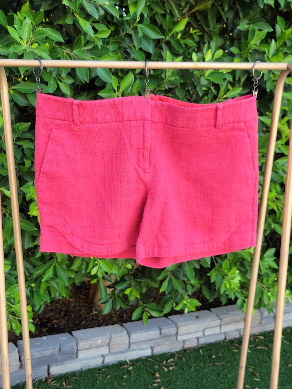 The Limited Textured Cotton Shorts Sz 12